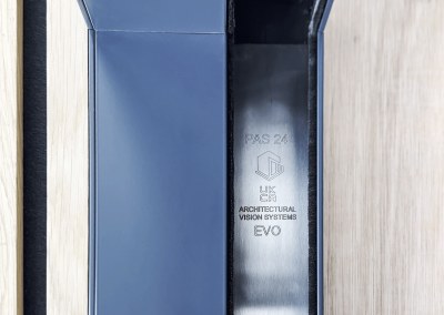 VISION EVO